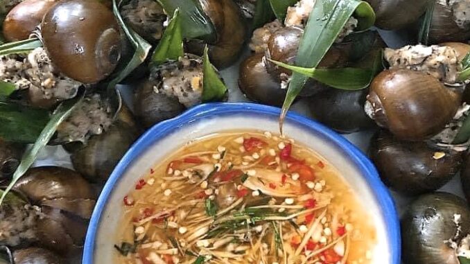 oc-nhoi-thit-hap-la-gung Ốc nhồi thịt hấp lá gừng