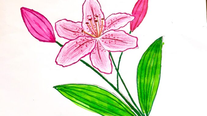to-mau-hoa-ly Tô màu hoa ly
