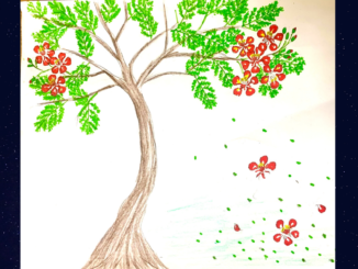 vẽ cây hoa phượng
