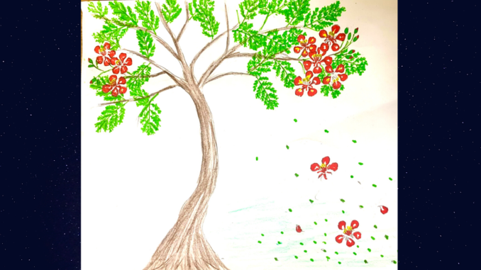 ve-cay-hoa-phuong vẽ cây hoa phượng