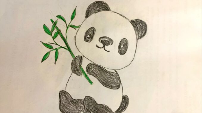 to-mau-gau-truc Tô màu gấu trúc